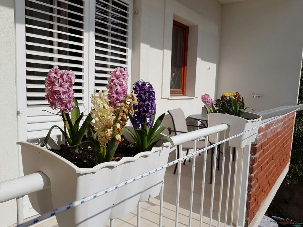 Apartment Vice Mali Split Bagian luar foto